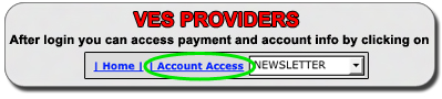 Detailed account and payment information can be viewed under the Account Access after login.